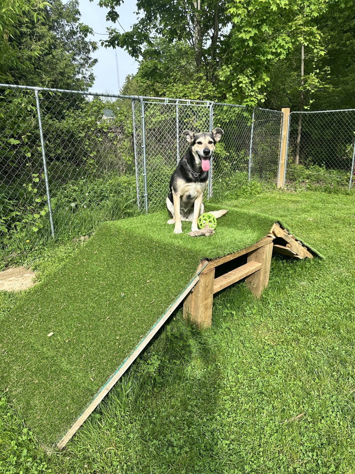 Wooden agility ramp in the fenced Bark Park