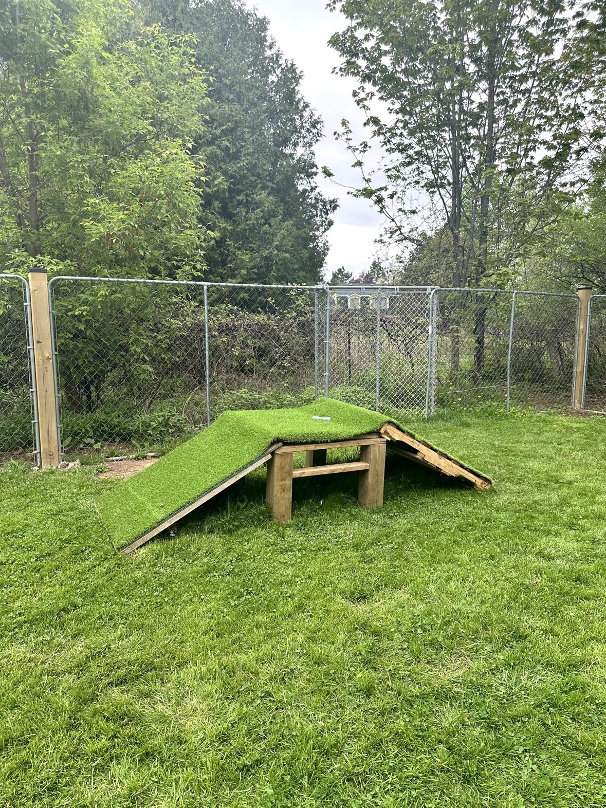 Wooden agility ramp and play structures in the Bark Park