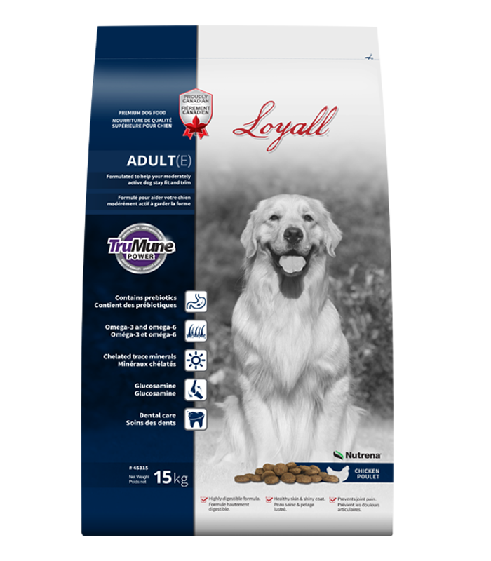 Loyall Adult dog food bag