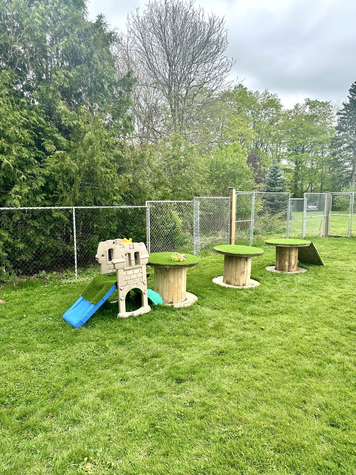 Small dog sitting near colourful agility equipment in the Bark Park