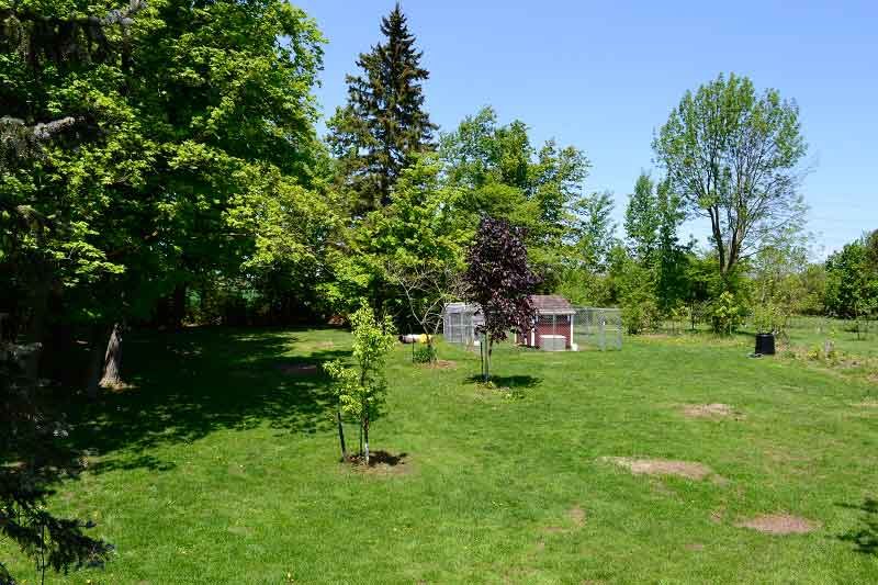 Wide green grounds at The Dog’s Inn in Milton