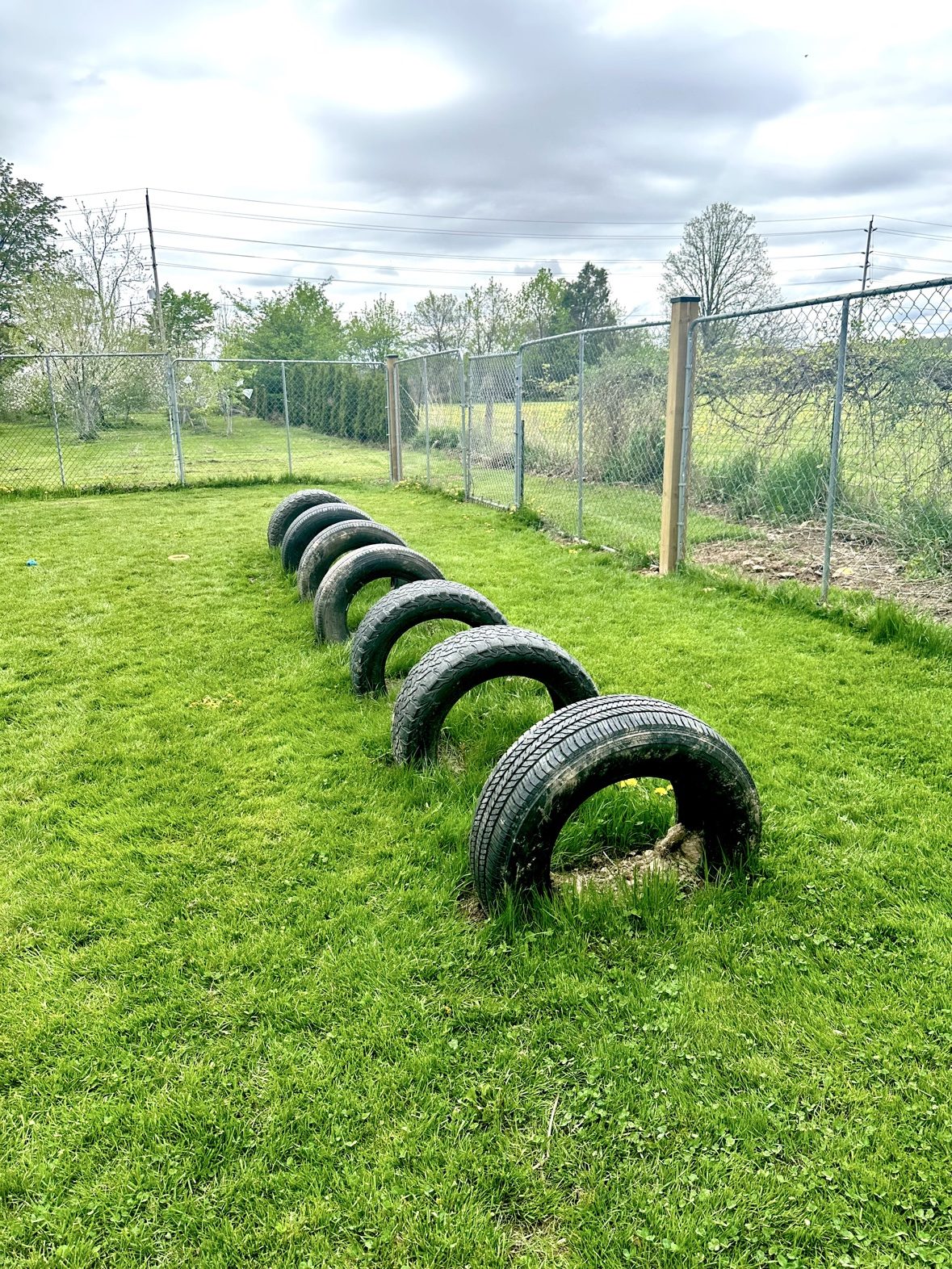 Black agility tunnel on the grass inside the Bark Park